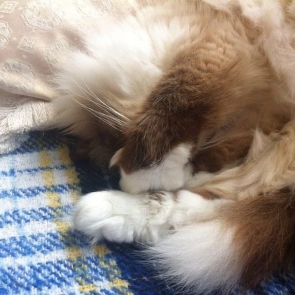 Meet your Posher, Karen - Picture 1 of 1